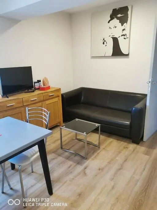 Lejlighed Joyeuse, Superbe Appartement D'Environs 30M2.
